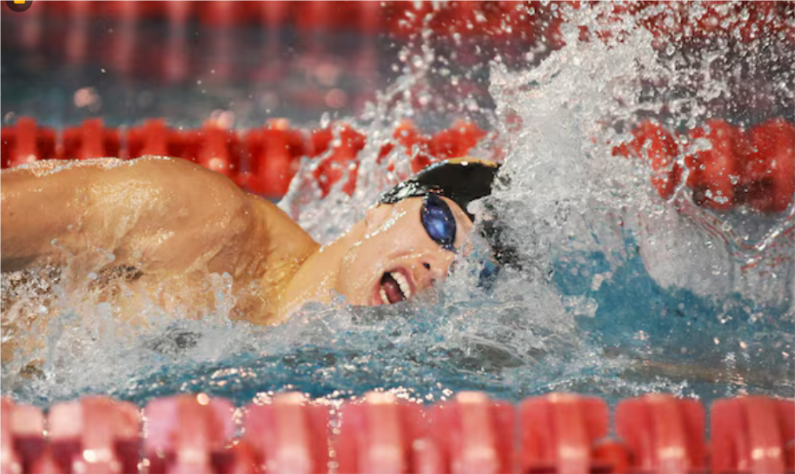 Resultados por deportes